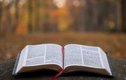 biblia